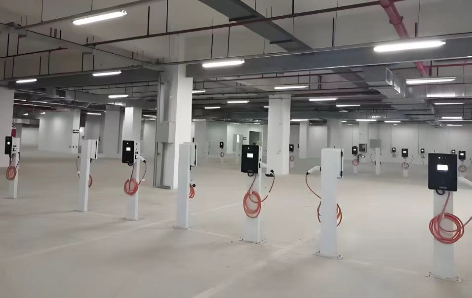 �����������ǻ۹������׮�����Ż�����